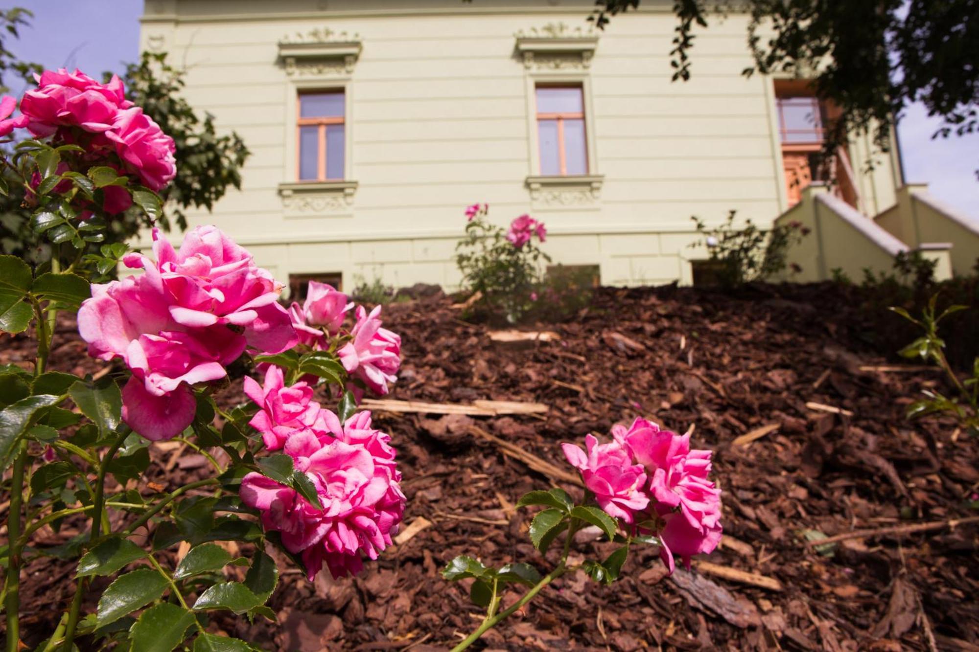 Ubytovani U Vladare Velhartice Exterior foto